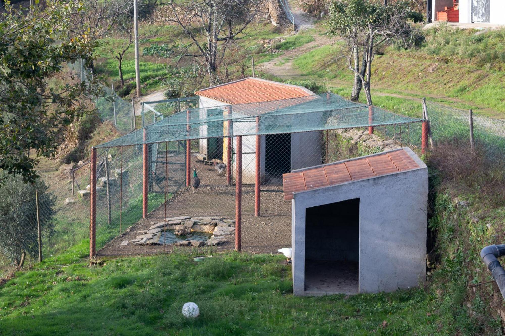 Ecofurtado Villa Ngoại thất bức ảnh